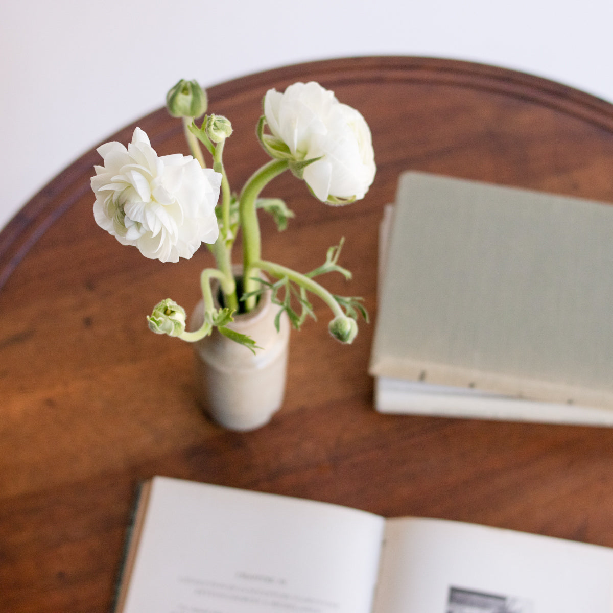 Walnut Side Table - elsie green