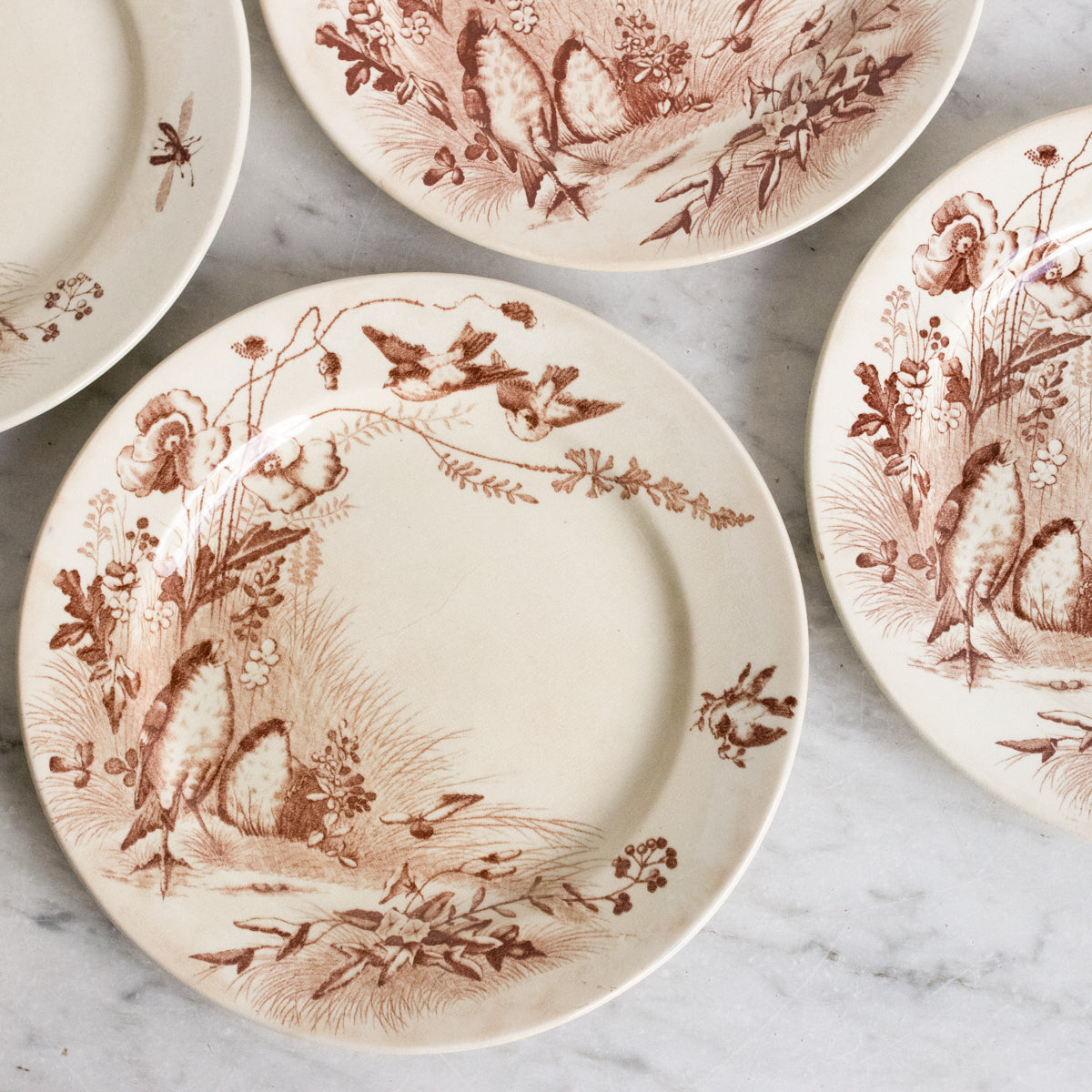 Dinnerware With Birds on Them: Enchant Your Table Decor