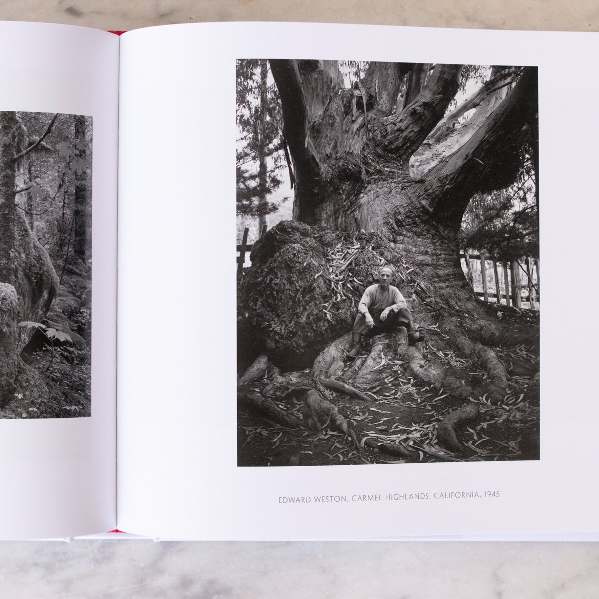 Ansel Adams | 400 Photographs - Decor - elsie green