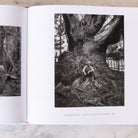 Ansel Adams | 400 Photographs - elsie green - Decor