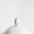 Antique Acanthus Tureen - elsie green - The French Kitchen