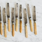 Antique Bone Knife Eclectic Set Of 9 - elsie green - The French Kitchen