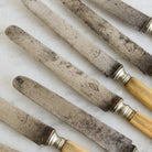 Antique Bone Knife Eclectic Set Of 9 - elsie green - The French Kitchen