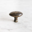 Antique Brass Hardware - elsie green - decor