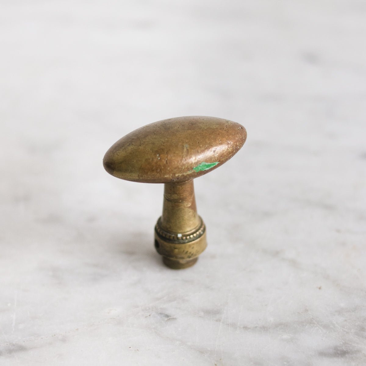 Antique Brass Hardware - elsie green - decor