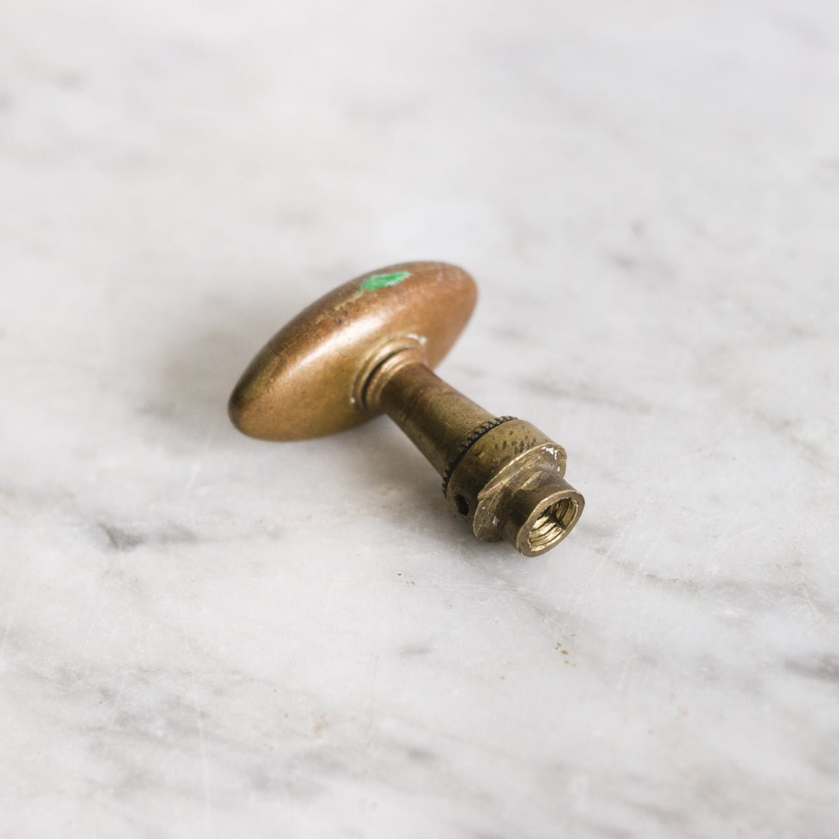 Antique Brass Hardware - elsie green - decor