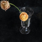 Antique Bud Vase - elsie green - decor