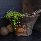 Antique Carved Wood Bowl - elsie green - decor