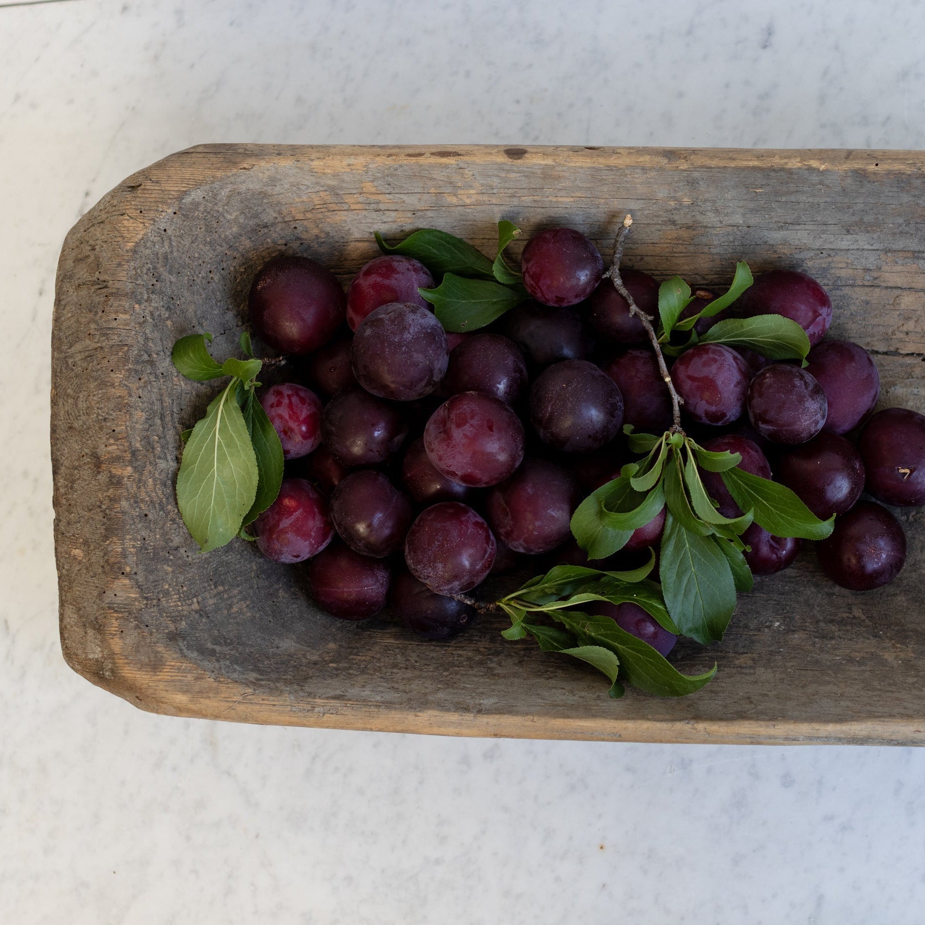 Antique Dough Bowl - elsie green - the french kitchen