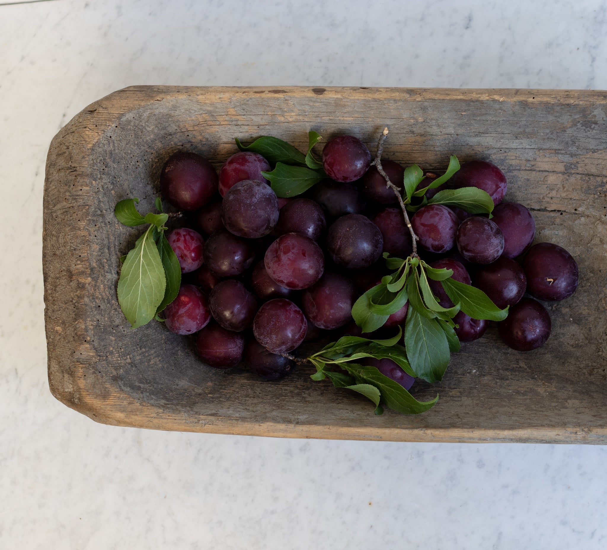 Antique Dough Bowl - elsie green - the french kitchen