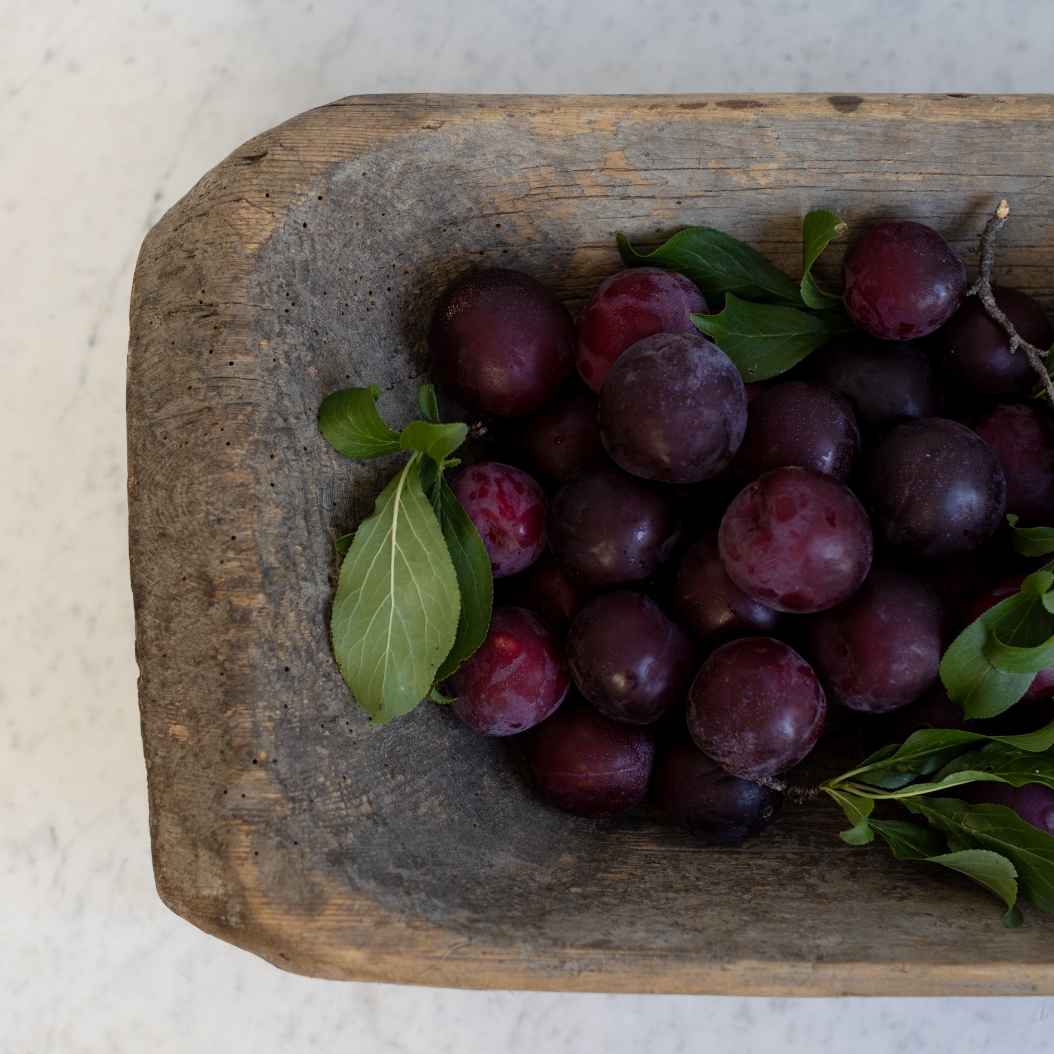 Antique Dough Bowl - elsie green - the french kitchen