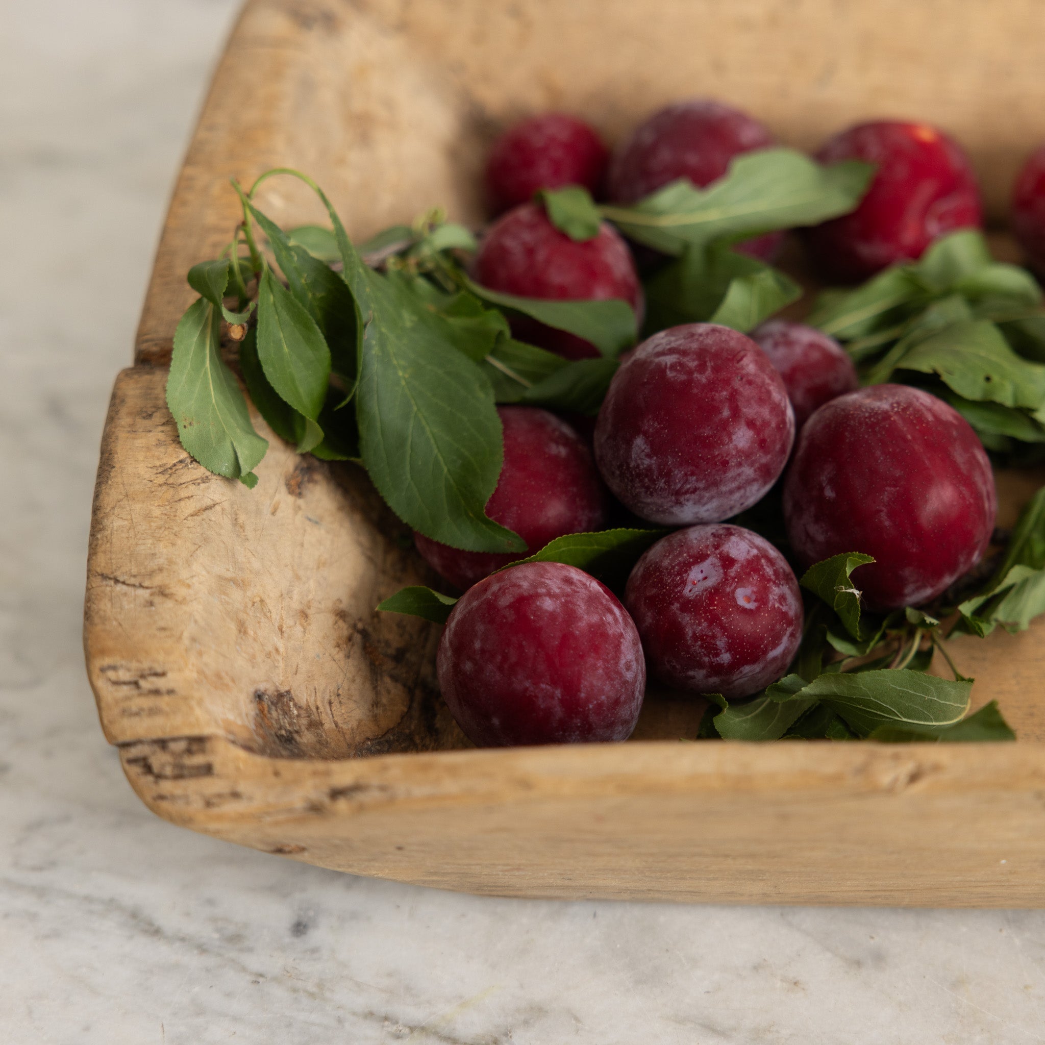 Antique Dough Bowl - elsie green - the french kitchen