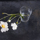 Antique Engraved Glass Tumbler - elsie green - The French Kitchen