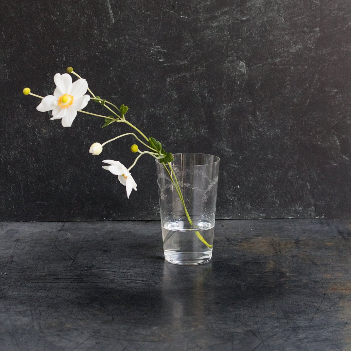 Antique Engraved Glass Tumbler - elsie green - The French Kitchen