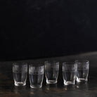Antique Etched Shot Glass Set of 6 - elsie green - the french kitchen