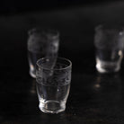 Antique Etched Shot Glass Set of 6 - elsie green - the french kitchen