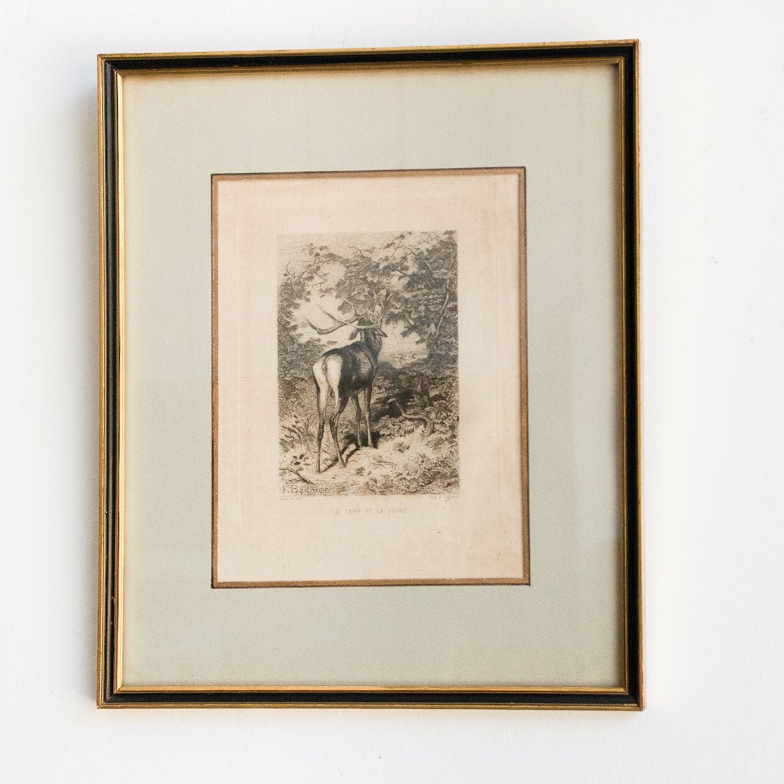 Antique Etching | Le Cerf Et La Vigne - elsie green - Art