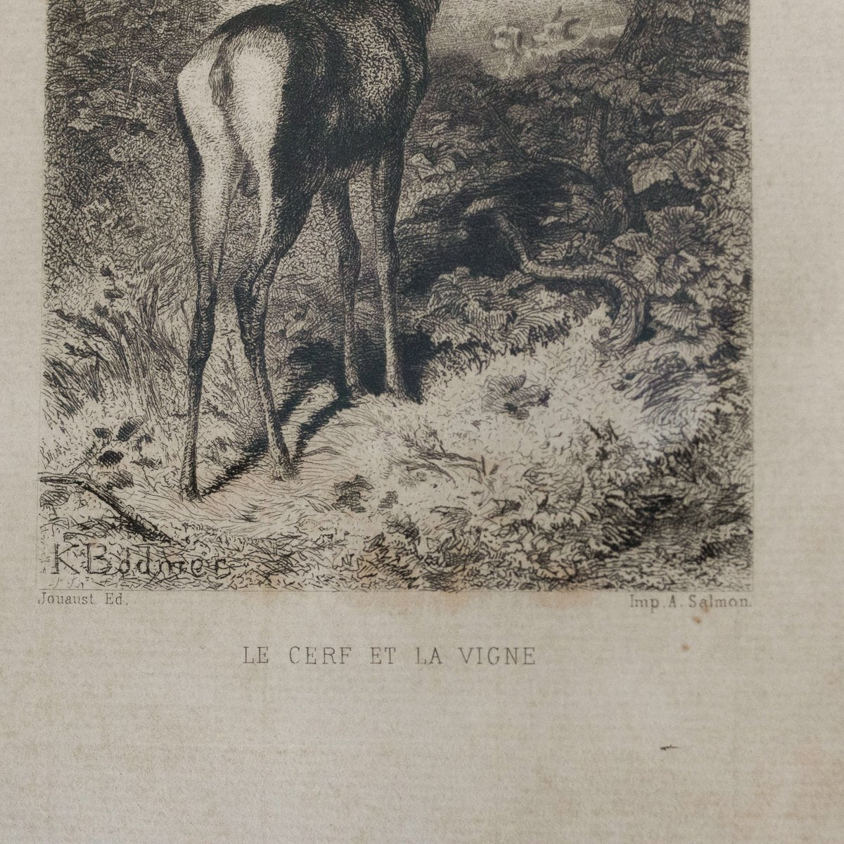 Antique Etching | Le Cerf Et La Vigne - elsie green - Art