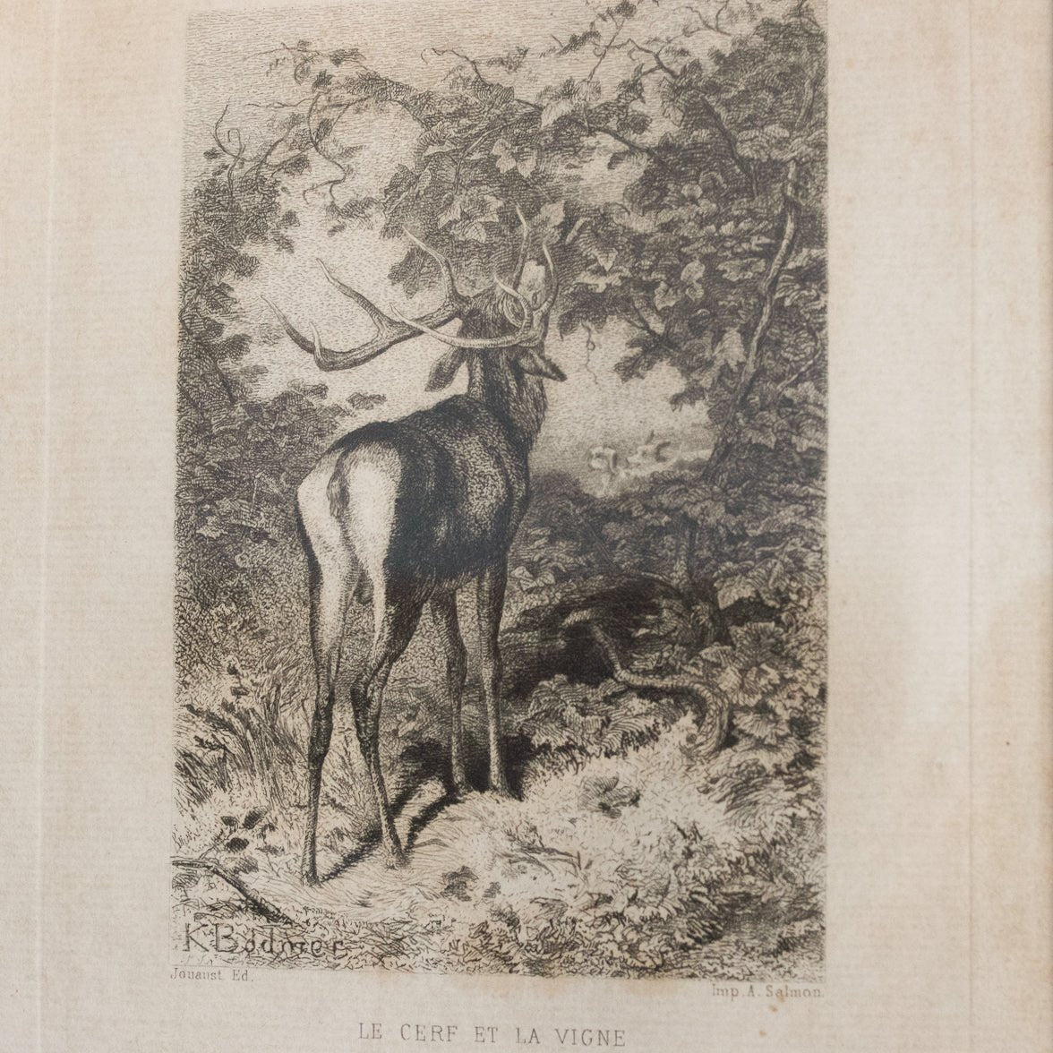 Antique Etching | Le Cerf Et La Vigne - elsie green - Art