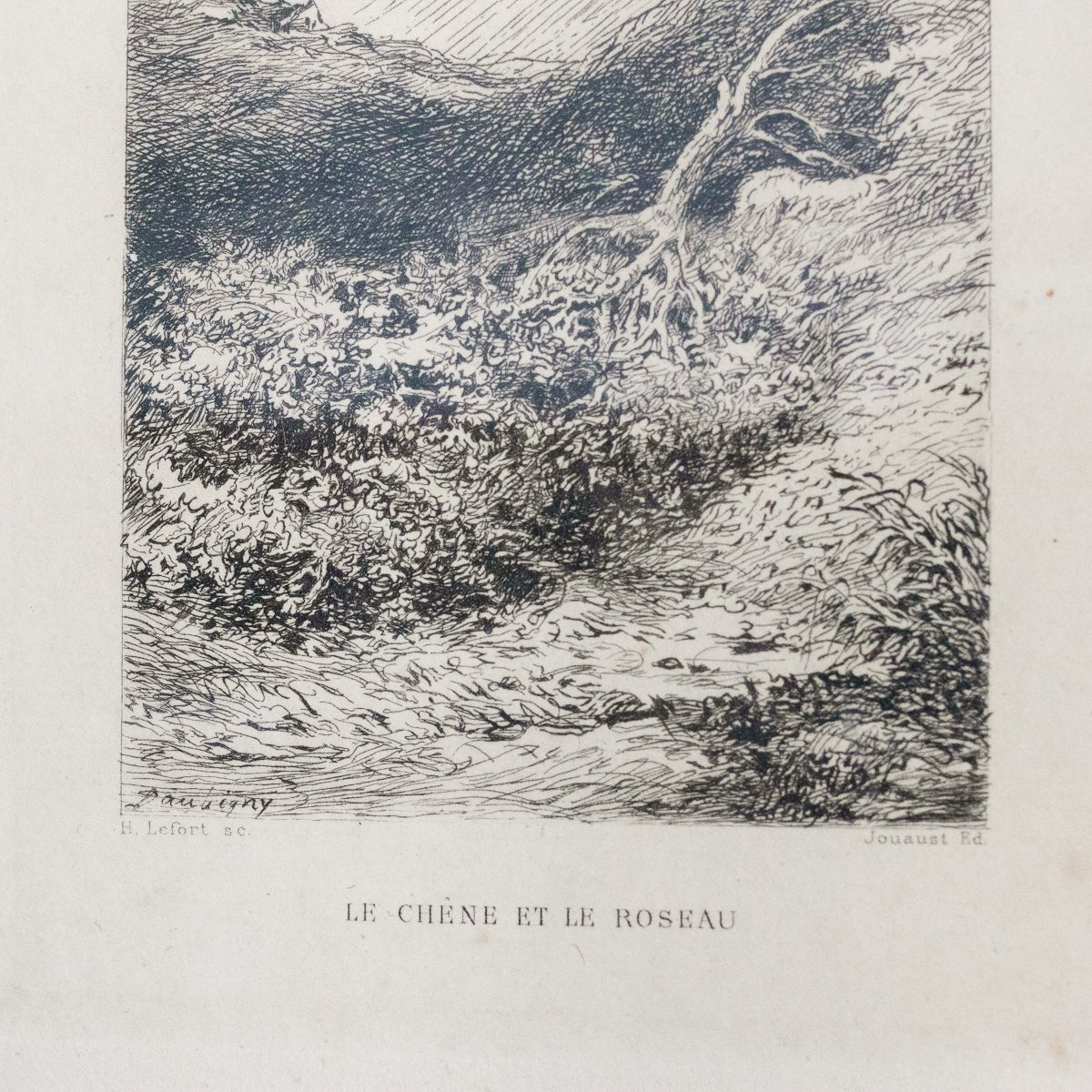 Antique Etching | Le Chene Et Le Roseau - elsie green - Art