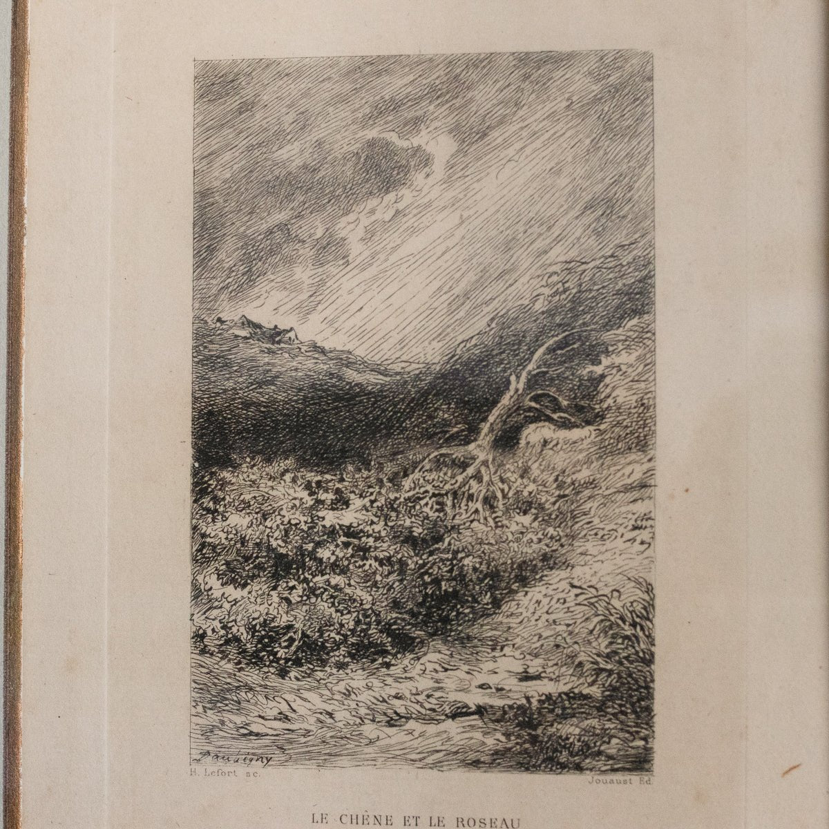 Antique Etching | Le Chene Et Le Roseau - elsie green - Art