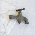 Antique Hose Bib - elsie green - decor