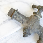 Antique Hose Bib - elsie green - decor