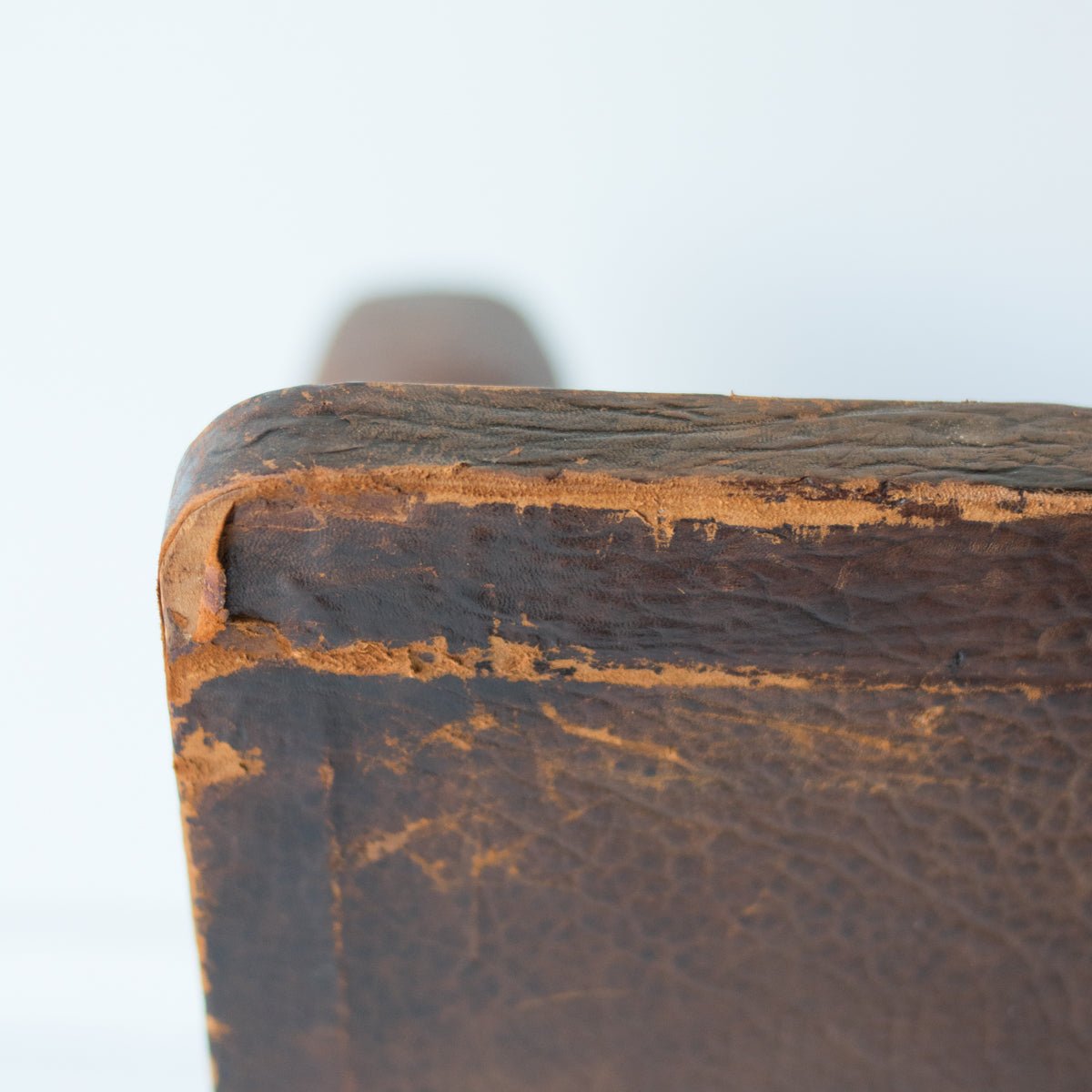 Antique Leather Club Chair - elsie green - furniture