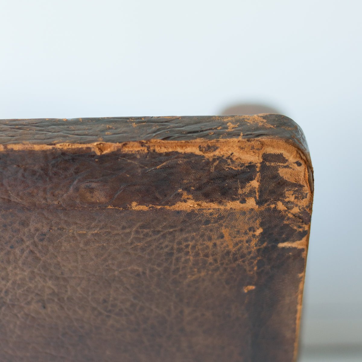 Antique Leather Club Chair - elsie green - furniture