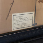 Antique Pressed Botanicals | Dated 1910 - elsie green - art
