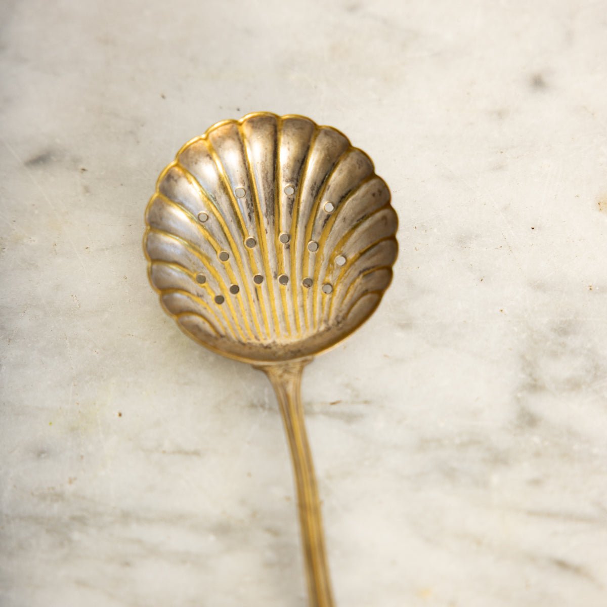 Antique Shell Spoon - elsie green - the french kitchen