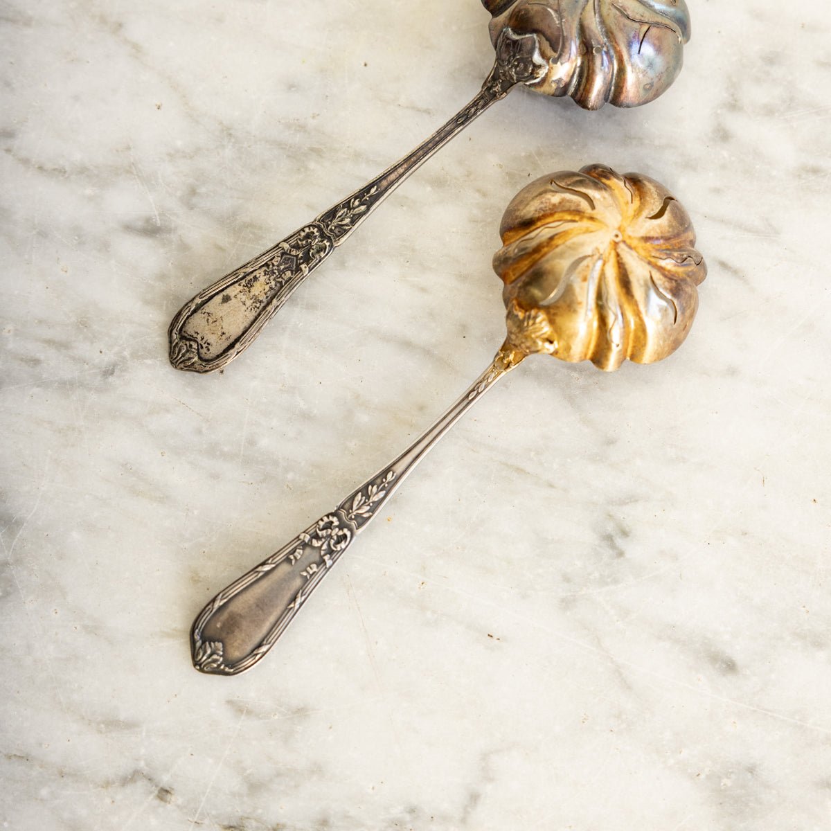 Antique Shell Spoon - elsie green - the french kitchen