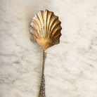 Antique Shell Spoon - elsie green - the french kitchen