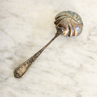 Antique Shell Spoon - elsie green - the french kitchen