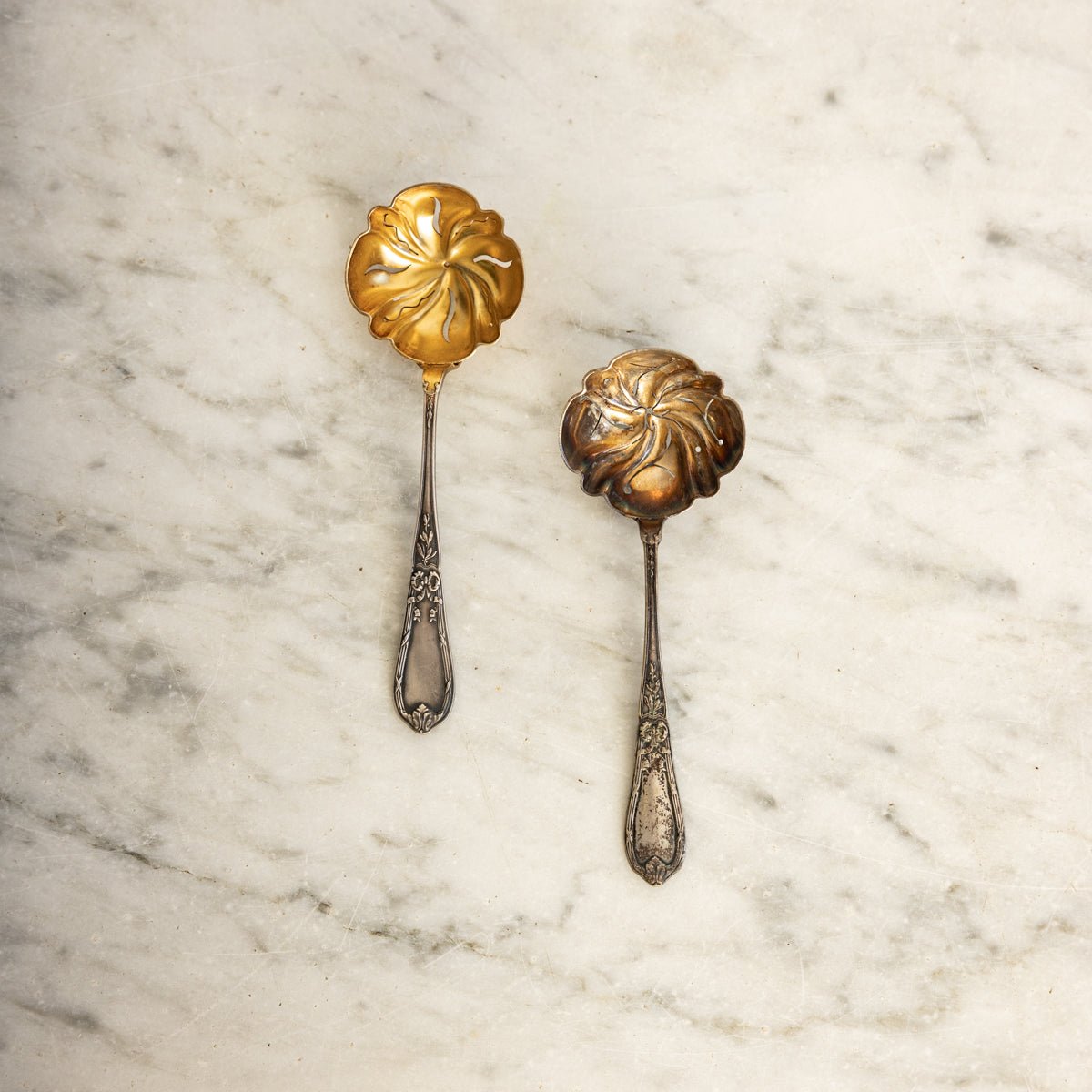 Antique Shell Spoon - elsie green - the french kitchen
