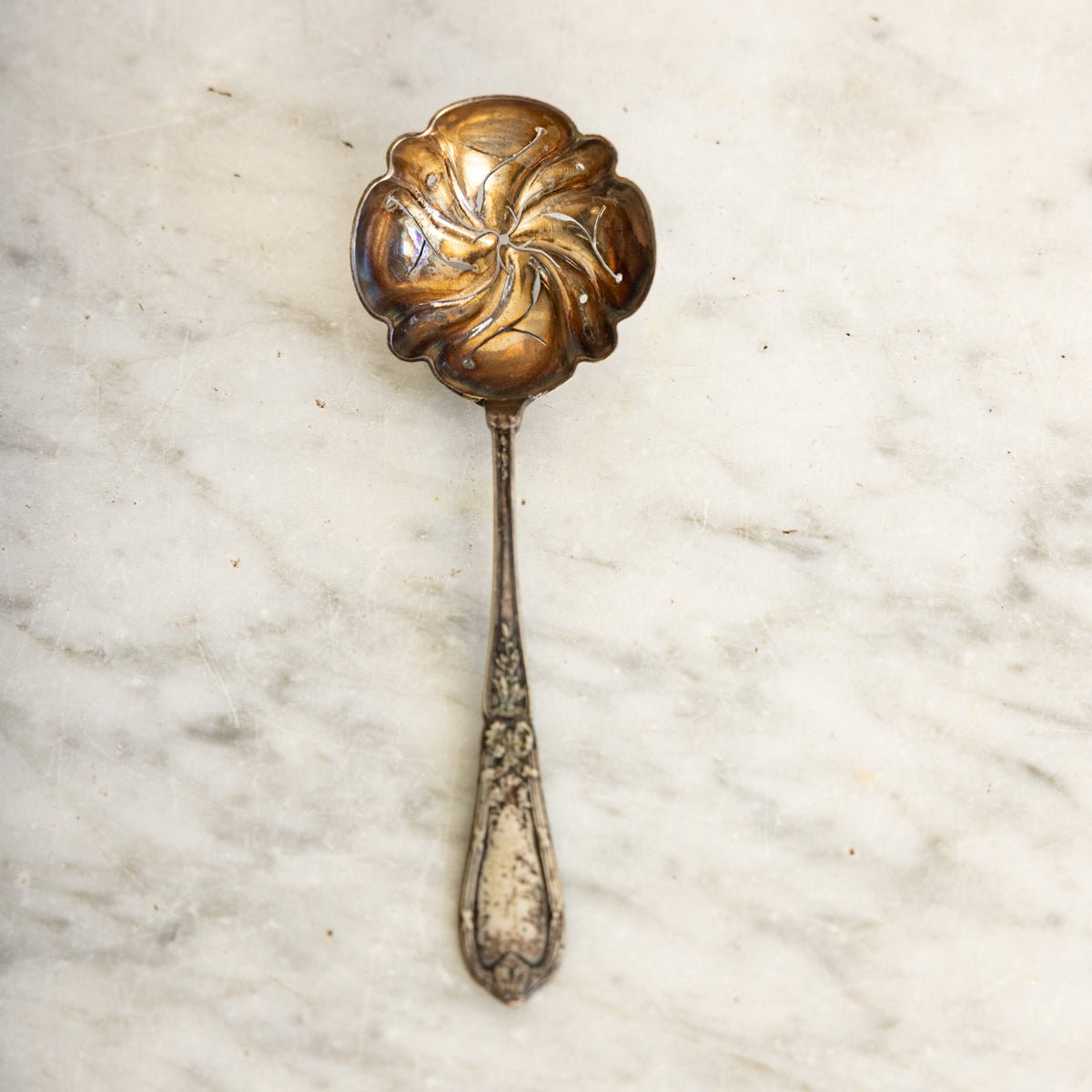 Antique Shell Spoon - elsie green - the french kitchen