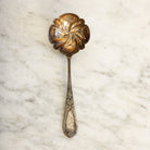 Antique Shell Spoon - elsie green - the french kitchen