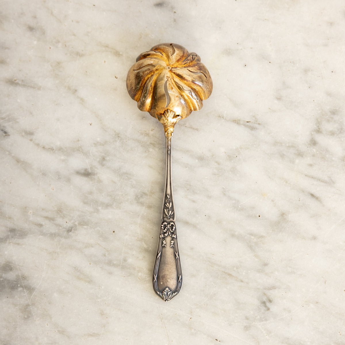 Antique Shell Spoon - elsie green - the french kitchen