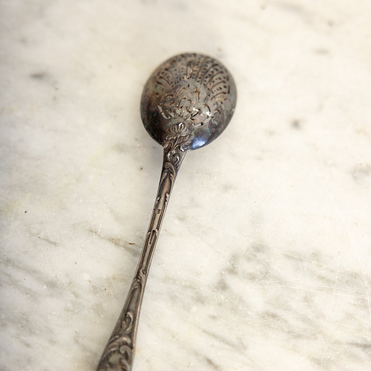 Antique Shell Spoon - elsie green - the french kitchen