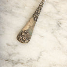 Antique Shell Spoon - elsie green - the french kitchen