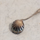 Antique Shell Spoon | The Patrick Orbe Collection - elsie green - the french kitchen