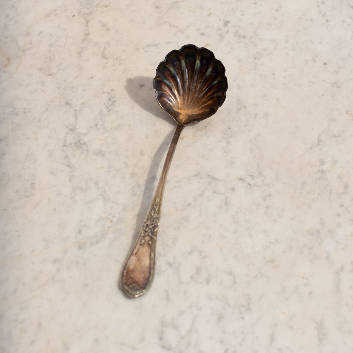 Antique Shell Spoon | The Patrick Orbe Collection - elsie green - the french kitchen