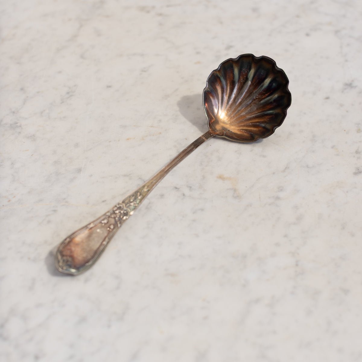 Antique Shell Spoon | The Patrick Orbe Collection - elsie green - the french kitchen