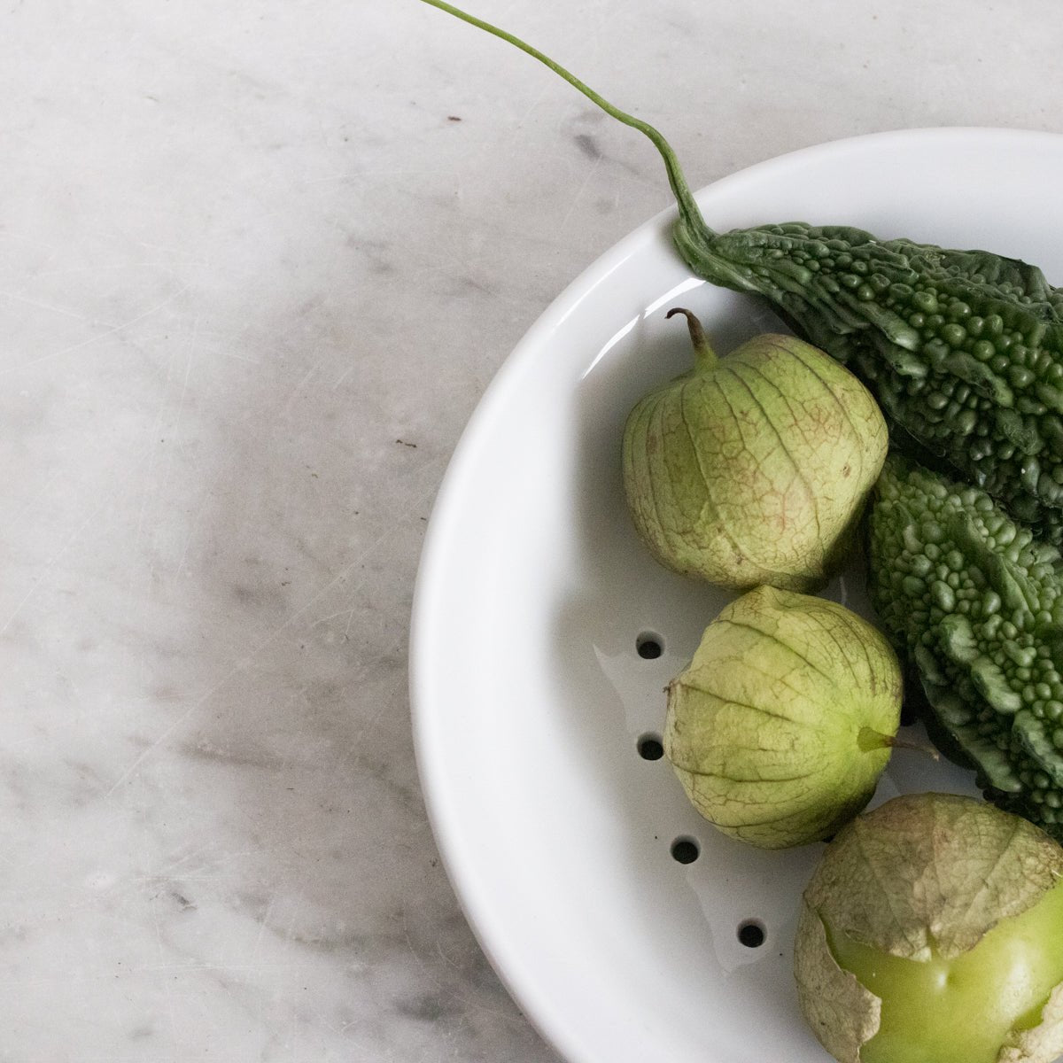 Apilco Porcelain Berry Bowl - elsie green - the french kitchen