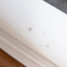 Art Deco Mirrored Tray - elsie green - decor