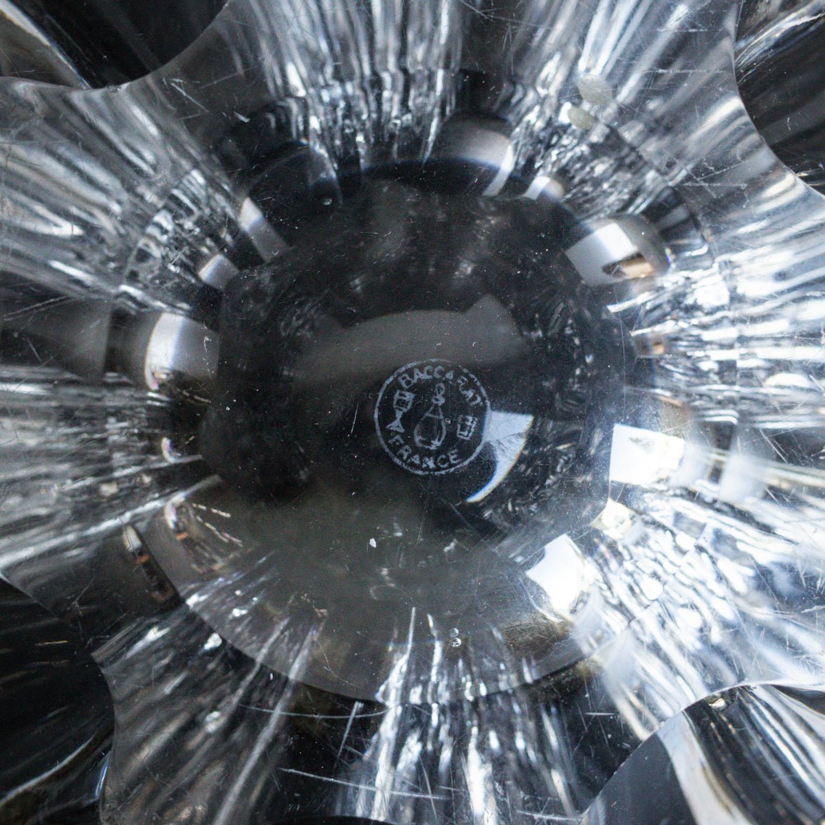 Baccarat Crystal Coupe - elsie green - decor