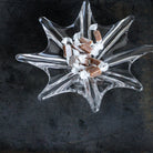 Baccarat Crystal Coupe - elsie green - decor