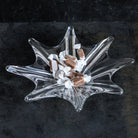 Baccarat Crystal Coupe - elsie green - decor