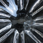 Baccarat Crystal Coupe - elsie green - decor