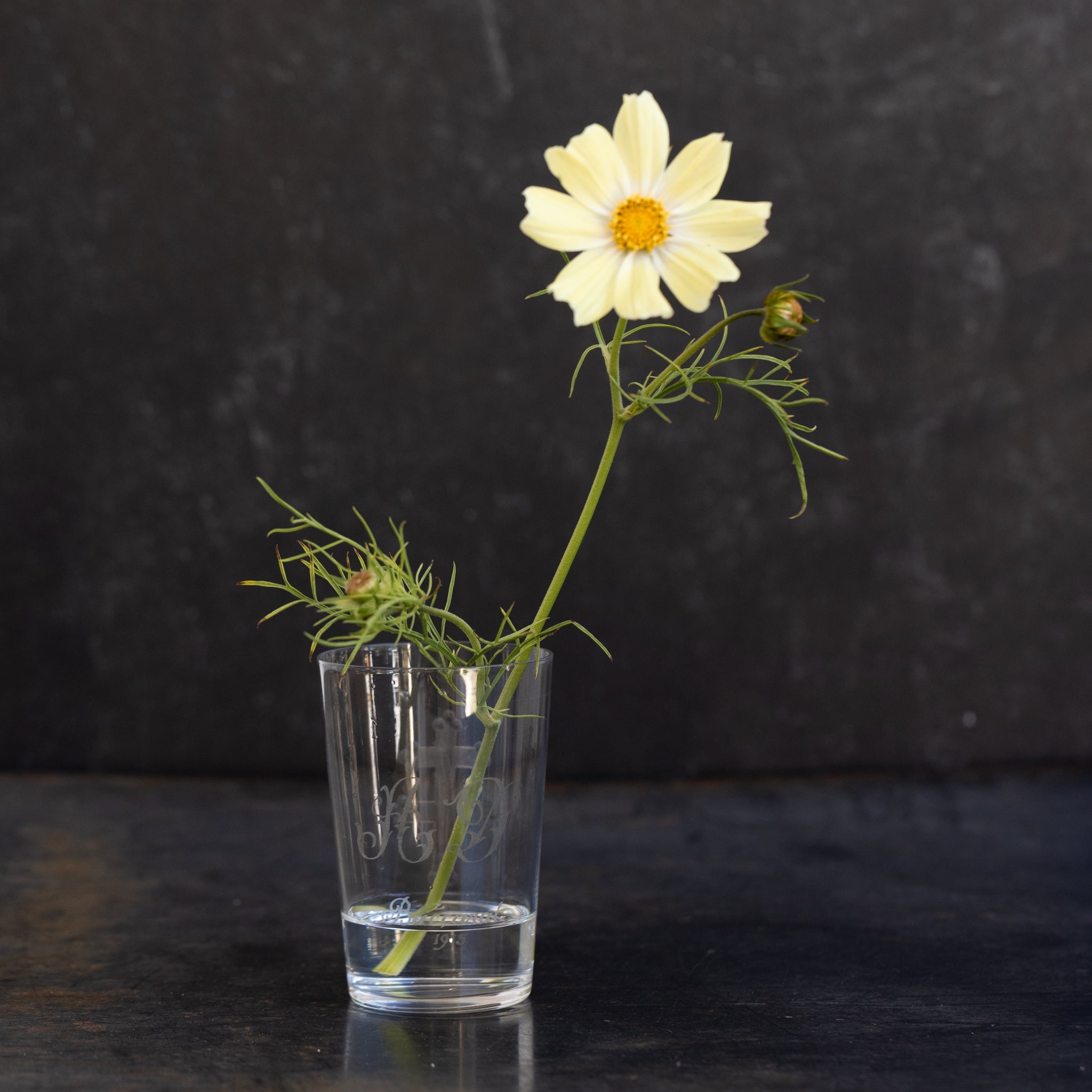 Baccarat Engraved Tumbler | 1915 - elsie green - The French Kitchen